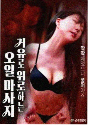 经典日剧 长夏未央 海报