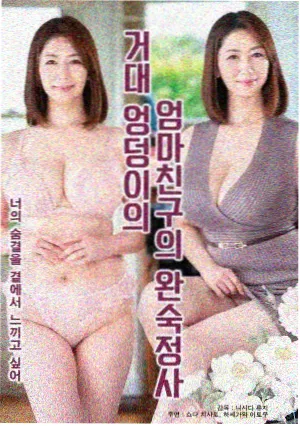 经典日剧 屋顶上的小提琴 海报